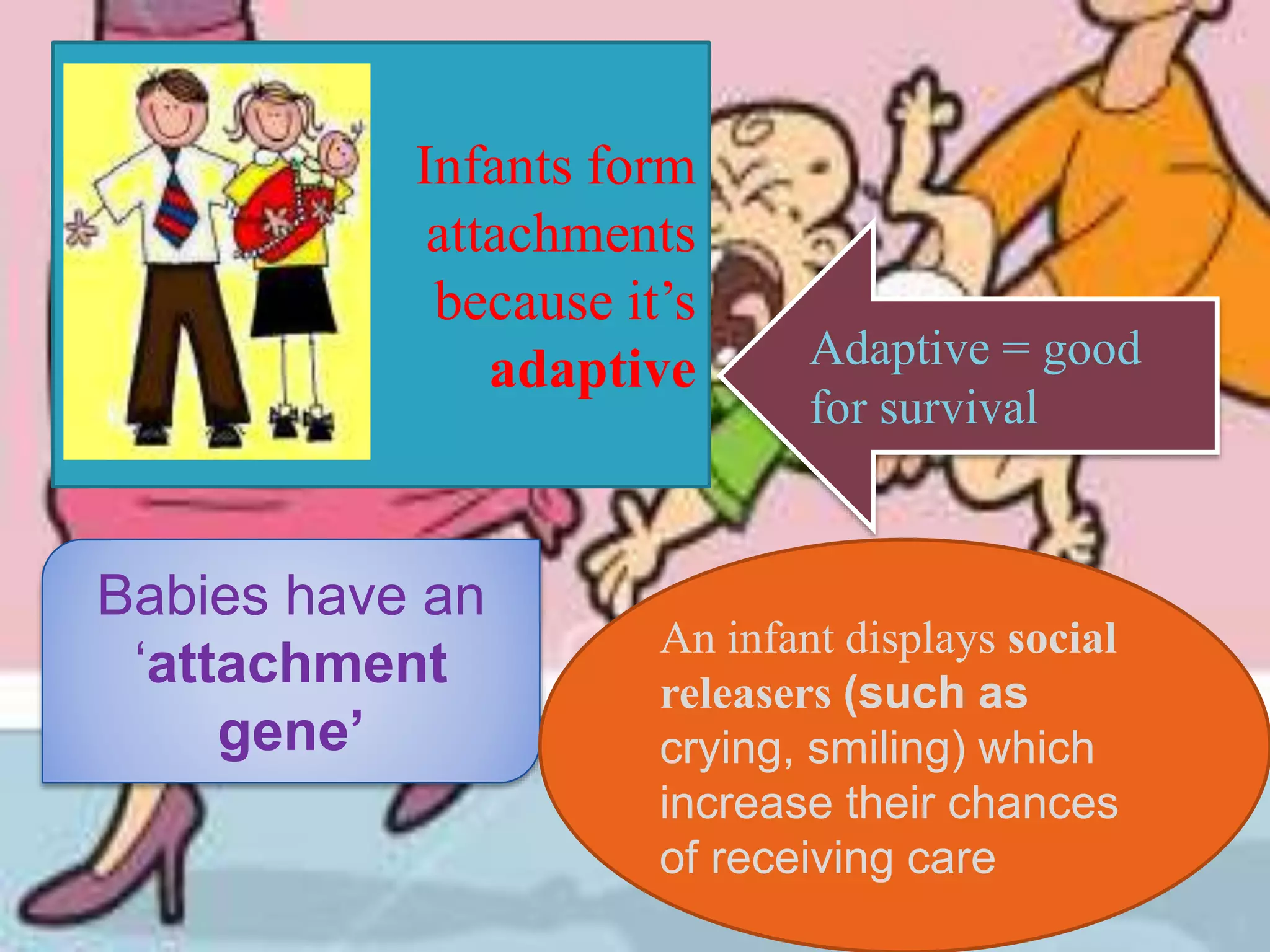 Infants form
attachments
because it’s
adaptive
Babies have an
‘attachment
gene’
An infant displays social
releasers (such as
crying, smiling) which
increase their chances
of receiving care
Adaptive = good
for survival
 