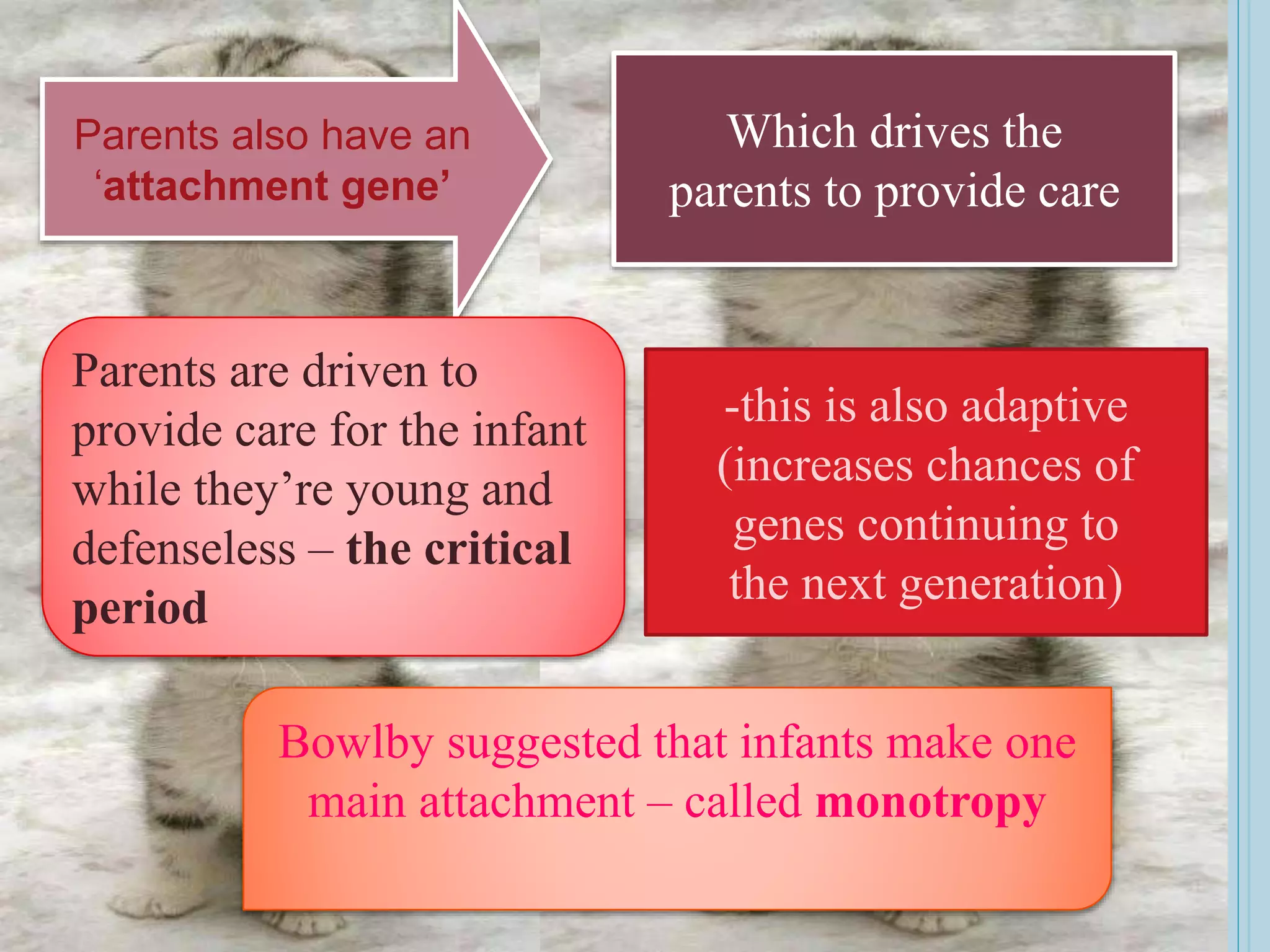 Parents also have an
‘attachment gene’
Which drives the
parents to provide care
Parents are driven to
provide care for the infant
while they’re young and
defenseless – the critical
period
-this is also adaptive
(increases chances of
genes continuing to
the next generation)
Bowlby suggested that infants make one
main attachment – called monotropy
 