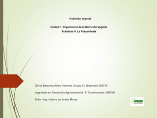 Nutrición Vegetal.
Unidad 1. Importancia de la Nutrición Vegetal.
Actividad 4. La Fotosíntesis
Olivia Berenice Arias Ramírez. Grupo 01. Matricula 150778
Ingeniería en Desarrollo Agroindustrial. 8° Cuatrimestre. UNIVIM.
Tutor: Ing. Isidoro de Jesús Macip
 