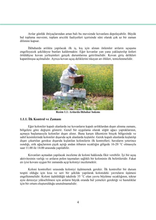 4
Arılar günlük ihtiyaçlarından artan balı bu mevsimde kovanlara depolayabilir. Büyük
bal toplama mevsimi, toplam arıcılık faaliyetleri içerisinde süre olarak çok az bir zaman
dilimini kapsar.
Ġlkbaharda arılıkta yapılacak ilk iĢ, kıĢ için alınan önlemler arıların uçuĢunu
engelleyecek Ģekildeyse bunları kaldırmaktır. Eğer kovanlar yan yana yaklaĢtırılıp üstleri
örtüldüyse kovan yerleĢimleri gerçek durumlarına getirilmelidir. Kovan giriĢ delikleri
kapatılmıĢsa açılmalıdır. Ayrıca kovan uçuĢ deliklerini tıkayan arı ölüleri, temizlenmelidir.
Resim 1.1: Arılarda ilkbahar bakımı
1.1.1. Ġlk Kontrol ve Zamanı
Eğer koloniler kapalı alanlarda ise kovanların kapalı arılıklardan dıĢarı alınma zamanı,
bölgelere göre değiĢim gösterir. Genel bir uygulama olarak söğüt ağacı yapraklarının,
açmaya baĢlamasıyla koloniler dıĢarı alınır. Buna karĢın ülkemizin birçok bölgesinde ve
sahil kesimlerinde koloniler dıĢarıda açık alanlarda kıĢlatılır. Gerek kapalı alanlarda kıĢlatılıp
dıĢarı çıkartılan gerekse dıĢarıda kıĢlatılan kolonilerin ilk kontrolleri; havaların yeterince
ısındığı, erik ağaçlarının çiçek açtığı andan itibaren sıcaklığın gölgede 16-20 °C olmasıyla
saat 11.00 ile 14.00 arasında yapılabilir.
Kovanları açmadan yapılacak inceleme de koloni hakkında fikir verebilir. Ġyi bir uçuĢ
aktivitesinin varlığı ve arıların polen taĢımaları sağlıklı bir koloninin ilk belirtileridir. Fakat
en iyisi kovanı uygun bir zamanda açıp koloniyi incelemektir.
Koloni kontrolleri sırasında koloniyi üĢütmemek gerekir. Ġlk kontroller bir durum
tespiti olduğu için kısa ve seri bir Ģekilde yapılarak kolonideki yavruların üĢümesi
engellenmelidir. Koloni üĢütüldüğü takdirde 35 °C olan yavru büyütme sıcaklığının, tekrar
aynı dereceye yükseltilmesi için arıların büyük oranda bal yemeleri gerektiği ve hastalıklar
için bir ortam oluĢturulduğu unutulmamalıdır.
 