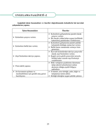 25
AĢağıdaki iĢlem basamakları ve öneriler doğrultusunda kolonilerin bal mevsimi
çalıĢmalarını yapınız.
ĠĢlem Basamakları Öneriler
 Kolonilere çerçeve veriniz.
 Kolonilerin geliĢmelerine paralel olarak
çerçeve veriniz.
 Bir önceki yıldan kalan uygun özellikteki
kabartılmıĢ peteklerden verebilirsiniz.
 Kolonilere ballık katı veriniz.
 Kolonilerin geliĢmesine paralel Ģekilde
kuluçkalık dolduğu zaman kat veriniz.
 Ballık katını zamanında vermeye özen
gösteriniz.
 Zayıf kolonilere takviye yapınız.
 Kuvvetli kolonilerden takviye çerçeveler
alarak zayıf kolonilere veriniz.
 Kapalı yavru gözlü çerçeveleri arısıyla
birlikte koku vererek zayıf koloniye
verebilirsiniz.
 Flora takibi yapınız.
 Bitki varlığının çiçeklenme durumunu
takip ederek kolonilerinizi nektar
akımının olduğu çiçekli bölgeye
naklediniz.
 Arı kovanının açılması ve
incelenebilmesi için gerekli araç gereci
hazırlayınız.
 El demiri, arıcı körüğü, yakıt, kâğıt ve
tutuĢturucu temin ediniz.
 Körüğü tekniğine uygun Ģekilde yakınız.
UYGULAMA FAALĠYETĠ -2
 