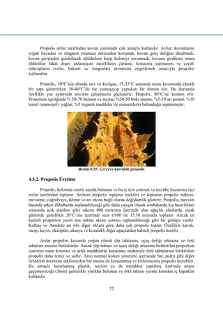 72
Propolis arılar tarafından kovan içerisinde çok amaçla kullanılır. Arılar; kovanlarını
soğuk havadan ve rüzgârın olumsuz etkisinden korumak, kovan giriĢ deliğini daraltmak,
kovan giriĢinden gelebilecek tehlikelere karĢı koloniyi savunmak, kovana girdikten sonra
öldürülen fakat dıĢarı atılamayan zararlıların çürüme, kokuĢma yapmasını ve çeĢitli
mikropların (virüs, bakteri ve funguslar) üremesini engellemek amacıyla propolisi
kullanırlar.
Propolis, 10°C‟nin altında sert ve kırılgan, 15-25°C arasında mum kıvamında elastik
bir yapı gösterirken 30-40°C‟de ise yumuĢayıp yapıĢkan bir durum alır. Bu durumda
özellikle yaz aylarında arıcının çalıĢmasını güçleĢtirir. Propolis, 80°C‟de kısmen erir.
Propolisin içeriğinde % 50-70 balzam ve reçine, %30-50 bitki mumu, %5-10 arı poleni, %10
temel (esansiyel) yağlar, %5 organik maddeler ile minerallerin bulunduğu saptanmıĢtır.
Resim 4.15: Çerçeve üzerinde propolis
4.5.2. Propolis Üretimi
Propolis, kolonide sınırlı sayıda bulunan ve bu iĢ için yetenek ve tecrübe kazanmıĢ iĢçi
arılar tarafından toplanır. Arıların propolis toplama istekleri ve toplanan propolis miktarı,
mevsime, coğrafyaya, iklime ve arı ırkına bağlı olarak değiĢkenlik gösterir. Propolis, mevsim
baĢında erken ilkbaharda toplanabileceği gibi daha yaygın olarak sonbaharda kıĢ hazırlıkları
sırasında açık alanlara göre rakımı 400 metrenin üzerinde olan ağaçlık alanlarda, sıcak
günlerde genellikle 20°C‟nin üzerinde saat 10.00 ile 15.30 arasında toplanır. Ancak en
kaliteli propolisin yazın ana nektar akımı sonrası toplanabileceği gibi bir görüĢte vardır.
Kafkas ve Anadolu arı ırkı diğer ırklara göre daha çok propolis toplar. Özellikle kavak,
meĢe, kayın, okaliptüs, akasya ve kozalaklı diğer ağaçlardan kaliteli propolis üretilir.
Arılar propolisi kovanda yoğun olarak dip tahtasına, uçuĢ deliği arkasına ve örtü
tahtaları arasına biriktirirler. Ancak dip tahtası ve uçuĢ deliği arkasına biriktirilen propolisin
içerisine mum kırıntısı ve artık maddelerin karıĢması nedeniyle örtü tahtalarına biriktirilen
propolis daha temiz ve saftır. Arıcı normal koloni yönetimi içerisinde bal, polen gibi diğer
ürünlerin üretimini etkilemeden bal mumu ile karıĢmamıĢ ve kirlenmemiĢ propolis üretebilir.
Bu amaçla hazırlanmıĢ plastik, naylon ya da metalden yapılmıĢ üzerinde arının
geçemeyeceği (3mm) geniĢlikte yarıklar bulunan ve örtü tahtası yerine konulan iç kapaklar
kullanılır.
 