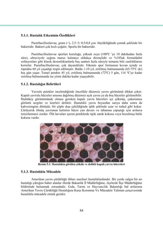 84
5.1.1. Hastalık Etkeninin Özellikleri
Paenibacilluslarvae, gram (+), 2,5–5; 0,5-0,8 µm. büyüklüğünde çomak Ģeklinde bir
bakteridir. Bakteri çok hızlı çoğalır. Sporlu bir bakteridir.
Paenibacilluslarvae sporları kuruluğa, yüksek ısıya (100ºC 'ye 10 dakikadan fazla
süre), ultraviyole ıĢığına maruz kalmaya oldukça dirençlidir ve %10'luk formaldehit
solüsyonları gibi klasik dezenfektanlarla beĢ saatten fazla süreyle temasta bile canlılıklarını
korurlar. Paenibacilluslarvae, çok dayanıklıdır. Etkenin spor formunun kovan içinde ve
toprakta 60 yıl yaĢadığı tespit edilmiĢtir. Balda 1-10 yıl, eritilmiĢ balmumunda (65-75ºC de)
beĢ gün yaĢar. Temel petekte 45 yıl, eritilmiĢ balmumunda (72ºC) 5 gün, 116 ºC'ye kadar
ısıtılmıĢ balmumunda ise yirmi dakika kadar yaĢayabilir.
5.1.2. Hastalığın Belirtileri
Yavrulu petekler incelendiğinde öncelikle düzensiz yavru görünümü dikkat çeker.
Kapalı yavrulu hücreler arasına dağılmıĢ düzensiz açık yavru ya da boĢ hücreler gözlenebilir.
DıĢbükey görünümünde olması gereken kapalı yavru hücreleri içe çökmüĢ, çukurumsu
görüntü sergiler ve üzerleri deliktir. Hastalıklı yavru beyazdan sarıya daha sonra da
kahverengine dönüĢür, bir çöple dıĢa çekildiğinde iplik Ģeklinde uzar ve tutkal gibi kokar.
Çürüyerek ölmüĢ yavrunun kalıntısı hücre yan duvarı ve tabanına yapıĢtığı için arılarca
temizlenmesi zordur. Ölü larvaları içeren peteklerde tipik zamk kokusu veya bozulmuĢ balık
kokusu vardır.
Resim 5.1: Hastalıkta görülen çökük ve delikli kapalı yavru hücreleri
5.1.3. Hastalıkla Mücadele
Amerikan yavru çürüklüğü ihbarı mecburi hastalıklardandır. Bir yerde salgın bir arı
hastalığı çıktığını haber alanlar illerde Bakanlık Ġl Müdürlüğüne, ilçelerde Ġlçe Müdürlüğüne
bildirimde bulunmak zorundadır. Gıda, Tarım ve Hayvancılık Bakanlığı bal arılarının
Amerikan Yavru Çürüklüğü Hastalığına KarĢı Korunma Ve Mücadele Talimatı çerçevesinde
hastalıkla mücadele etmek gerekir.
 