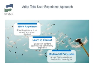 Ariba Total User Experience Approach
 
