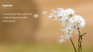 © 2015 SAP SE or an SAP affiliate company. All rights reserved. 2Internal
Agenda
La Economía en Red y visión SAP
La Red de Negocios de SAP
Casos de Éxito
 