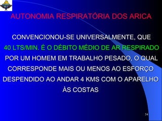 CONVENCIONOU-SE UNIVERSALMENTE, QUE 40 LTS/MIN. É O DÉBITO MÉDIO DE AR RESPIRADO POR UM HOMEM EM TRABALHO PESADO, O QUAL CORRESPONDE MAIS OU MENOS AO ESFORÇO  DESPENDIDO AO ANDAR 4 KMS COM O APARELHO  ÀS COSTAS  AUTONOMIA RESPIRATÓRIA DOS ARICA 