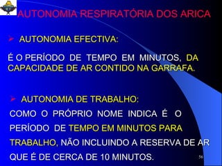 AUTONOMIA EFECTIVA: É O PERÍODO  DE  TEMPO  EM  MINUTOS,   DA CAPACIDADE DE   AR CONTIDO NA GARRAFA. AUTONOMIA DE TRABALHO: COMO  O  PRÓPRIO  NOME  INDICA  É  O  PERÍODO  DE  TEMPO EM MINUTOS PARA TRABALHO,  NÃO INCLUINDO A RESERVA DE AR QUE É DE CERCA DE 10 MINUTOS. AUTONOMIA RESPIRATÓRIA DOS ARICA 