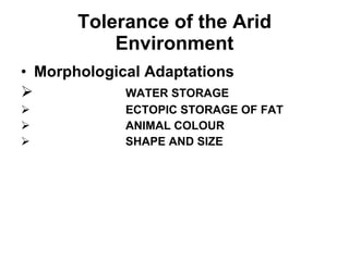 Tolerance of the Arid Environment Morphological Adaptations   WATER STORAGE ECTOPIC STORAGE OF FAT ANIMAL COLOUR  SHAPE AND SIZE 
