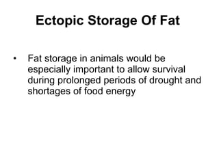 Ectopic Storage Of Fat   Fat storage in animals would be especially important to allow survival during prolonged periods of drought and shortages of food energy  