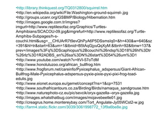 http:// library . thinkquest .org/TQ0312800/ squirrel . htm http://en.wikipedia.org/wiki/File:Washington-ground-squirrel-.jpg http://groups.ucanr.org/GSBMP/Biology/Hibernation.htm http://images.google.com.tr/imgres?imgurl=http://www.reptilesofaz.org/Graphics/Turtles-Amphibians/SCACOU-09.jpg&imgrefurl=http://www.reptilesofaz.org/Turtle-Amphibs-Subpages/h-s-couchii.html&usg=__CHUArR7t9evQhPyA6P5DSsmsIq0=&h=430&w=640&sz=391&hl=tr&start=63&um=1&tbnid=B5tAqGjyuQqXyM:&tbnh=92&tbnw=137&prev=/images%3Fq%3DScaphiopus%2Bcouchii%26ndsp%3D18%26hl%3Dtr%26rlz%3D1R2ADBS_en%26sa%3DN%26start%3D54%26um%3D1 http://www.youtube.com/watch?v=ltVI-57oTdM  http://www.honoluluzoo.org/african_bullfrog.htm http://www.frogforum.net/careinfo/Pyxicephalus_adspersus/Giant-African-Bullfrog-Male-Pyxicephalus-adspersus-pyxie-pixie-pyxi-pixi-frog-toad-edulis.jpg http://www.eionet.europa.eu/gemet/concept?ns=1&cp=7531 http://www.southafricantours.co.za/Birding/Birds/namaqua_sandgrouse.htm http://www.naturephoto-cz.eu/pic/sevcik/oryx-gazella--oryx-gazella.jpg http://images.whatsthatbug.com/images/mojavebeetle01.jpg http://creagrus.home.montereybay.com/Tort_Angulate-Jy05WCst2-w.jpg http://farm4.static.flickr.com/3039/3061998772_13f9a6be8e.jpg 