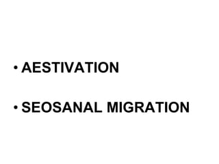 AESTIVATION  SEOSANAL MIGRATION 