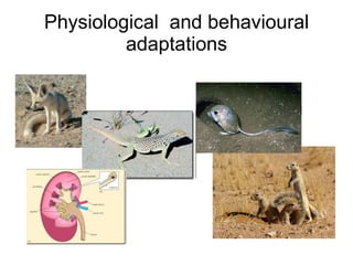 Physiological  and behavioural adaptations 
