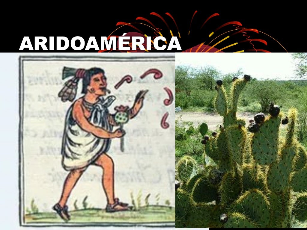 Aridoamerica