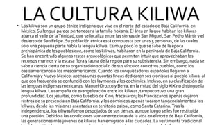 LA CULTURA KILIWA
• Los kiliwa son un grupo étnico indígena que vive en el norte del estado de Baja California, en
México. Su lengua parece pertenecer a la familia hokana. El área en la que habitan los kiliwas
abarca el valle de laTrinidad, que se localiza entre las sierras de San Miguel, San Pedro Mártir y el
desierto de San Felipe. Su población étnica está compuesta por unas 5 personas, de las cuales
sólo una pequeña parte habla la lengua kiliwa. Es muy poco lo que se sabe de la época
prehispánica de los pueblos que, como los kiliwas, habitaron en la península de Baja California.
Se han encontrado algunos restos arqueológicos que permiten intuir que aprovechaban los
recursos marinos y la escasa flora y fauna de la región para su subsistencia. Sin embargo, nada se
sabe a ciencia cierta de su organización social o de sus vínculos con otros pueblos, como los
oasisamericanos o los mesoamericanos.Cuando los conquistadores españoles llegaron a
California y Nuevo México, apenas unas cuantas líneas dedicaron sus cronistas al pueblo kiliwa, al
que con frecuencia se confundió con los laymones y los cochimíes. Incluso, en su clasificación de
las lenguas indígenas mexicanas, ManuelOrozco y Berra, en la mitad del siglo XIX no distingue la
lengua kiliwa. La campaña de evangelización entre los kiliwas ,tampoco tuvo una gran
profundidad. Los jesuitas, como Eusebio de Kino, fracasaron; los franciscanos apenas dejaron
rastros de su presencia en Baja California, y los dominicos apenas tocaron tangencialmente a los
kiliwas, desde las misiones asentadas en territorio paipai, como Santa Catarina.Tras la
independencia, los kiliwas fueron despojados de sus tierras, aunque luego se les fue restituida
una porción. Debido a las condiciones sumamente duras de la vida en el norte de Baja California,
las generaciones más jóvenes de kiliwas han emigrado a las ciudades. La vestimenta tradicional
 