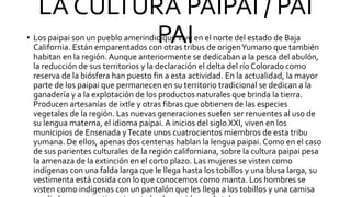 LA CULTURA PAIPAI / PAI
PAI
• Los paipai son un pueblo amerindio que vive en el norte del estado de Baja
California. Están emparentados con otras tribus de origenYumano que también
habitan en la región. Aunque anteriormente se dedicaban a la pesca del abulón,
la reducción de sus territorios y la declaración el delta del río Colorado como
reserva de la biósfera han puesto fin a esta actividad. En la actualidad, la mayor
parte de los paipai que permanecen en su territorio tradicional se dedican a la
ganadería y a la explotación de los productos naturales que brinda la tierra.
Producen artesanías de ixtle y otras fibras que obtienen de las especies
vegetales de la región. Las nuevas generaciones suelen ser renuentes al uso de
su lengua materna, el idioma paipai. A inicios del siglo XXI, viven en los
municipios de Ensenada yTecate unos cuatrocientos miembros de esta tribu
yumana. De ellos, apenas dos centenas hablan la lengua paipai. Como en el caso
de sus parientes culturales de la región californiana, sobre la cultura paipai pesa
la amenaza de la extinción en el corto plazo. Las mujeres se visten como
indígenas con una falda larga que le llega hasta los tobillos y una blusa larga, su
vestimenta está cosida con lo que conocemos como manta. Los hombres se
visten como indígenas con un pantalón que les llega a los tobillos y una camisa
 