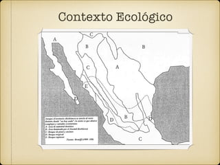 Contexto Ecológico
 