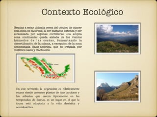 Gracias a estar ubicada cerca del trópico de cáncer
esta zona es calurosa; al ser bastante extensa y ser
atravesada por algunas cordilleras una amplia
zona continental queda aislada de los vientos
húmedos de las costas, fomentando la
desertiﬁcación de la misma, a excepción de la zona
denominada Oasis-américa, que es irrigada por
distintos oasis y riachuelos.
Contexto Ecológico
En este territorio la vegetación es relativamente
escasa siendo comunes plantas de tipo cactáceas y
los arbustos que crecen típicamente en las
temporadas de lluvias, es un lugar en el que la
fauna está adaptada a la vida desértica y
semidesértica. 
 