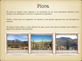 Flora
*Es escasa en algunas zonas, llegando a ser inexistente. En las zonas plenamente desérticas como
arenales, zonas pedregosas y rocosas; la vegetación es esporádica.
 
*Existen varias zonas sin vegetación con arbustos y otras plantas espinosas, hay una diversidad de
cactáceas.
 
*En lugares menos áridos y zonas aﬂuentes de agua, crecen otros tipos de plantas como arbustos, Y
algunas otras plantas como pastizales.
 