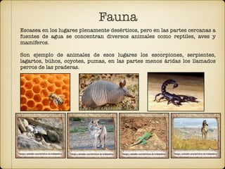 Fauna 
Escasea en los lugares plenamente desérticos, pero en las partes cercanas a
fuentes de agua se concentran diversos animales como reptiles, aves y
mamíferos. 
 
Son ejemplo de animales de esos lugares los escorpiones, serpientes,
lagartos, búhos, coyotes, pumas, en las partes menos áridas los llamados
perros de las praderas.
 