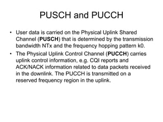 DL Physical Channel Processing 