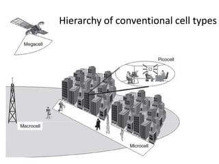 Hierarchy of conventional cell types
 