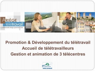 Promotion & Développement du télétravail
       Accueil de télétravailleurs
  Gestion et animation de 3 télécentres
 