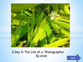 A Day in The Life of a Photographer
                 By Ariel
                                      Next
 
