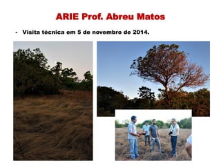 ARIE Prof. Abreu Matos
- Visita técnica em 5 de novembro de 2014.
 