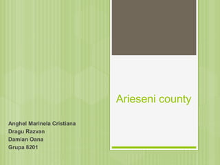 Arieseni county
Anghel Marinela Cristiana
Dragu Razvan
Damian Oana
Grupa 8201
 