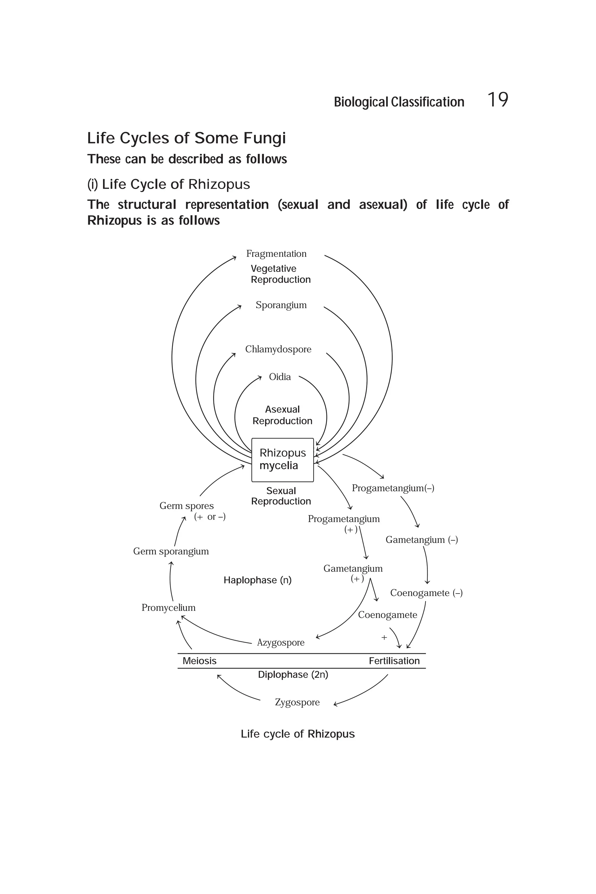 ARIHANT BIOLOGY MCQ BOOK PDF CLASS 11 visual data 2