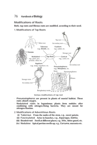 Taproot Modifications Arihant handbook biology for class 11 .pdf