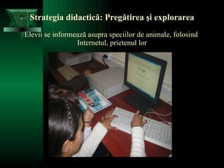 Strategia didactică: Pregătirea şi explorarea Elevii se informează asupra speciilor de animale, folosind  Internetul, prietenul lor 