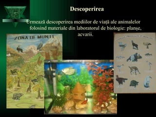 Descoperirea Urmează descoperirea mediilor de viaţă ale animalelor folosind materiale din laboratorul de biologie: planşe, acvarii. 