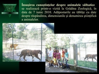 Însuşirea cunoştinţelor despre animalele sălbatice  se realizează printr-o vizită la Grădina Zoologică, în data de 7 iunie 2010. Adăposturile au tăbliţe cu date despre răspândirea, dimensiunile şi denumirea ştiinţifică a animalelor. 