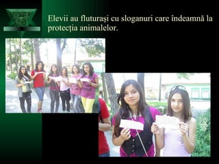 Elevii au fluturaşi cu sloganuri care îndeamnă la protecţia animalelor. 