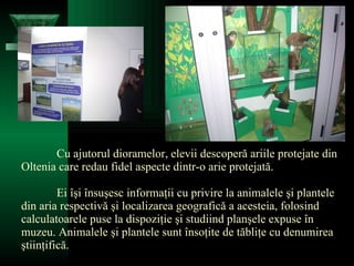 C u ajutorul dioramelo r, e levii descoperă ariile protejate din Oltenia care redau fidel aspecte dintr-o arie protejată.  Ei îşi însuşesc informaţii cu privire la animalele şi plantele din aria respectivă şi localizarea geografică a acesteia, folosind calculatoarele puse la dispoziţie şi studiind planşele expuse în muzeu. Animalele şi plantele sunt însoţite de tăbliţe cu denumirea ştiinţifică.  