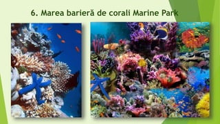 6. Marea barieră de corali Marine Park
 