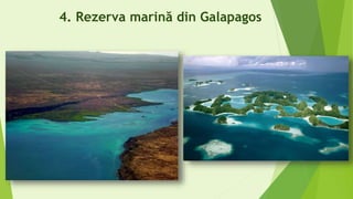 4. Rezerva marină din Galapagos
 