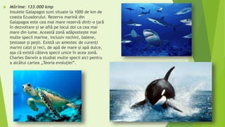  Mărime: 133.000 kmp
Insulele Galapagos sunt situate la 1000 de km de
coasta Ecuadorului. Rezerva marină din
Galapagos este cea mai mare rezervă dintr-o ţară
în dezvoltare şi se află pe locul doi ca cea mai
mare din lume. Această zonă adăpostește mai
multe specii marine, inclusiv rechini, balene,
țestoase şi pești. Există un amestec de curenți
marini calzi şi reci, de apă de mare şi apă dulce,
aşa că există câteva specii unice în acea zonă.
Charles Darwin a studiat multe specii aici pentru
a alcătui cartea „Teoria evoluţiei”.
 