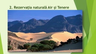 2. Rezervația naturală Air şi Tenere
 