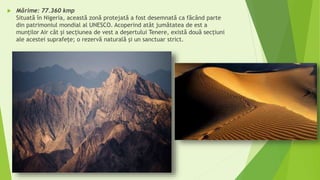  Mărime: 77.360 kmp
Situată în Nigeria, această zonă protejată a fost desemnată ca făcând parte
din patrimoniul mondial al UNESCO. Acoperind atât jumătatea de est a
munților Air cât şi secțiunea de vest a deşertului Tenere, există două secțiuni
ale acestei suprafeţe; o rezervă naturală şi un sanctuar strict.
 