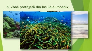 8. Zona protejată din Insulele Phoenix
 