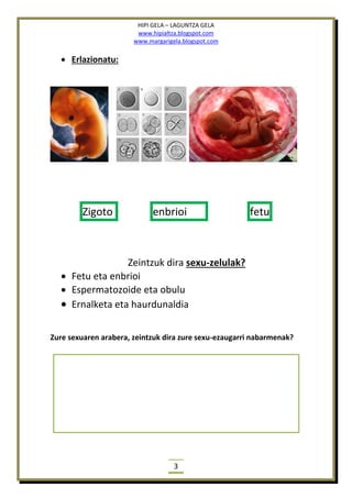 HIPI GELA – LAGUNTZA GELA
www.hipialtza.blogspot.com
www.margarigela.blogspot.com
3
 Erlazionatu:
Zigoto enbrioi fetu
Zeintzuk dira sexu-zelulak?
 Fetu eta enbrioi
 Espermatozoide eta obulu
 Ernalketa eta haurdunaldia
Zure sexuaren arabera, zeintzuk dira zure sexu-ezaugarri nabarmenak?
 