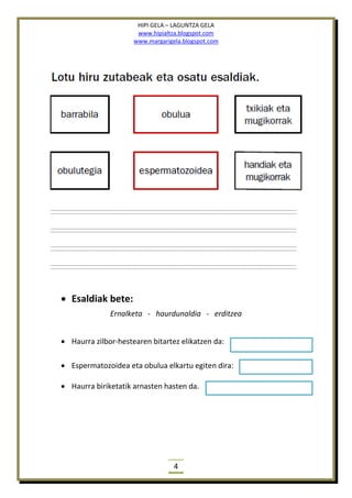 HIPI GELA – LAGUNTZA GELA
www.hipialtza.blogspot.com
www.margarigela.blogspot.com
4
 Esaldiak bete:
Ernalketa - haurdunaldia - erditzea
 Haurra zilbor-hestearen bitartez elikatzen da:
 Espermatozoidea eta obulua elkartu egiten dira:
 Haurra biriketatik arnasten hasten da.
 