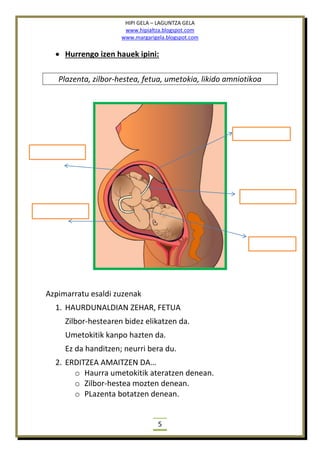 HIPI GELA – LAGUNTZA GELA
www.hipialtza.blogspot.com
www.margarigela.blogspot.com
5
 Hurrengo izen hauek ipini:
Plazenta, zilbor-hestea, fetua, umetokia, likido amniotikoa
Azpimarratu esaldi zuzenak
1. HAURDUNALDIAN ZEHAR, FETUA
Zilbor-hestearen bidez elikatzen da.
Umetokitik kanpo hazten da.
Ez da handitzen; neurri bera du.
2. ERDITZEA AMAITZEN DA…
o Haurra umetokitik ateratzen denean.
o Zilbor-hestea mozten denean.
o PLazenta botatzen denean.
 
