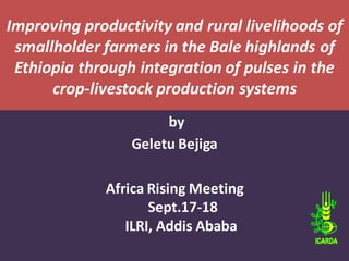 Improving productivity and rural livelihoods of
 smallholder farmers in the Bale highlands of
 Ethiopia through integration of pulses in the
      crop-livestock production systems
                      by
                 Geletu Bejiga

             Africa Rising Meeting
                    Sept.17-18
                ILRI, Addis Ababa
 