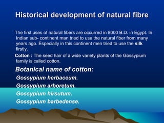 Historical development of natural fibreHistorical development of natural fibre
The first uses of natural fibers are occurred in 8000 B.D. in Egypt. In
Indian sub- continent man tried to use the natural fiber from many
years ago. Especially in this continent men tried to use the silk
firstly.
Cotton : The seed hair of a wide variety plants of the Gossypium
family is called cotton.
Botanical name of cotton:
Gossypium herbaceum.
Gossypium arboretum.
Gossypium hirsutum.
Gossypium barbedense.
 