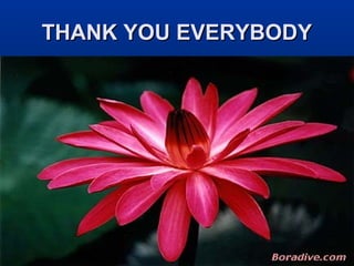 THANK YOU EVERYBODYTHANK YOU EVERYBODY
 