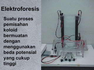 Elektroforesis
Suatu proses
pemisahan
koloid
bermuatan
dengan
menggunakan
beda potensial
yang cukup
tinggi           30
 