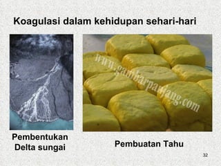 Koagulasi dalam kehidupan sehari-hari




Pembentukan
Delta sungai        Pembuatan Tahu
                                        32
 
